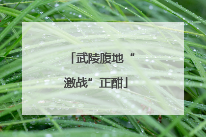 武陵腹地“激战”正酣