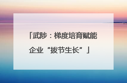 武陟：梯度培育赋能企业“拔节生长”