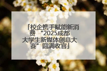校企携手赋能新消费 “2025成都大学生新媒体创意大赛”圆满收官