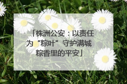 株洲公安：以责任为“粽叶”守护满城粽香里的平安