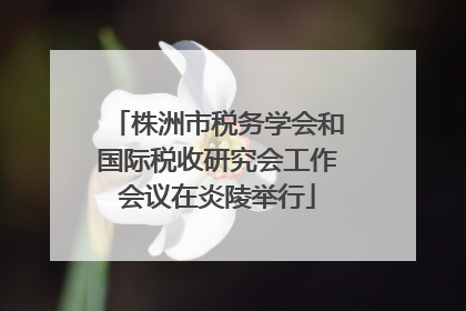 株洲市税务学会和国际税收研究会工作会议在炎陵举行