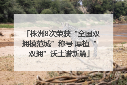 株洲8次荣获“全国双拥模范城”称号 厚植“双拥”沃土谱新篇