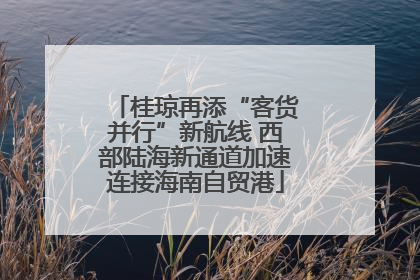 桂琼再添“客货并行”新航线 西部陆海新通道加速连接海南自贸港