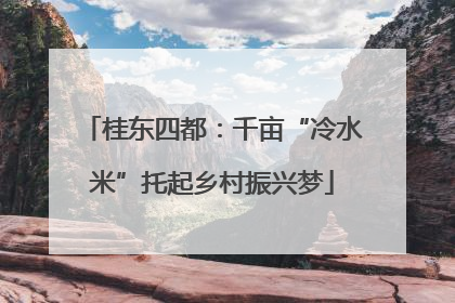 桂东四都：千亩“冷水米”托起乡村振兴梦