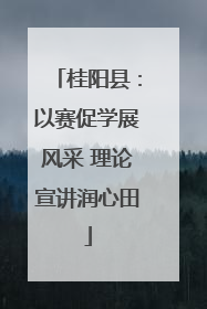桂阳县：以赛促学展风采 理论宣讲润心田