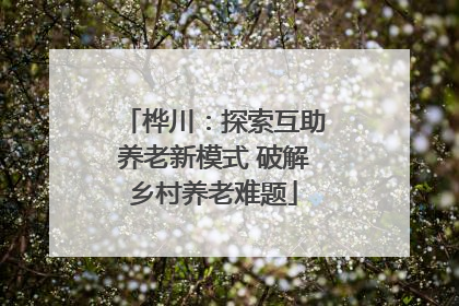 桦川：探索互助养老新模式 破解乡村养老难题