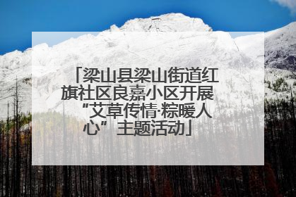 梁山县梁山街道红旗社区良嘉小区开展“艾草传情·粽暖人心”主题活动