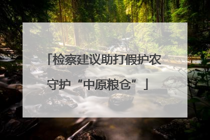 检察建议助打假护农守护“中原粮仓”