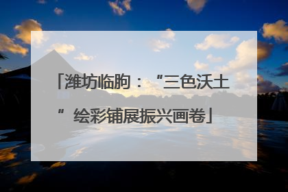 潍坊临朐：“三色沃土”绘彩铺展振兴画卷