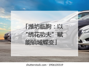 潍坊临朐：以“绣花功夫”赋能镇域蝶变