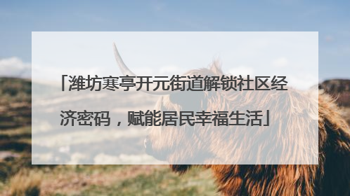 潍坊寒亭开元街道解锁社区经济密码，赋能居民幸福生活