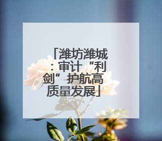 潍坊潍城：审计“利剑”护航高质量发展