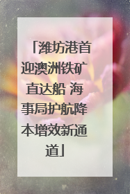 潍坊港首迎澳洲铁矿直达船 海事局护航降本增效新通道