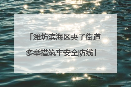 潍坊滨海区央子街道多举措筑牢安全防线