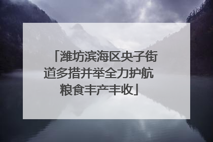 潍坊滨海区央子街道多措并举全力护航粮食丰产丰收
