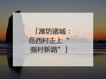 潍坊诸城：岳西村走上“强村新路”
