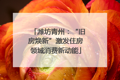 潍坊青州：“旧房焕新”激发住房领域消费新动能