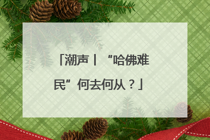 潮声丨“哈佛难民”何去何从？