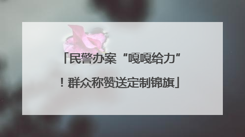 民警办案“嘎嘎给力”！群众称赞送定制锦旗