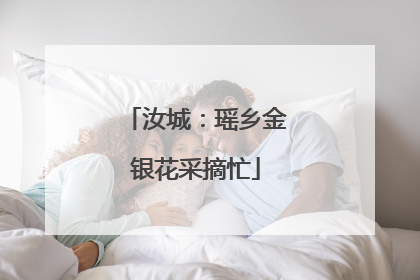 汝城：瑶乡金银花采摘忙