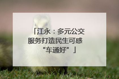 江永：多元公交服务打造民生可感“车通好”