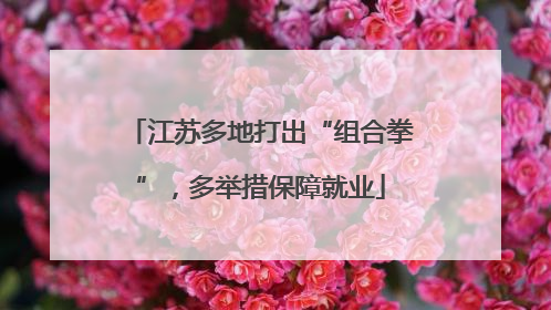江苏多地打出“组合拳”，多举措保障就业