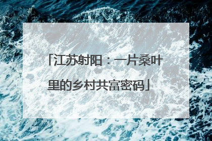 江苏射阳：一片桑叶里的乡村共富密码