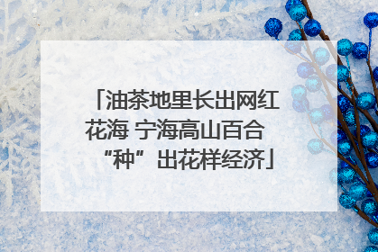 油茶地里长出网红花海 宁海高山百合“种”出花样经济
