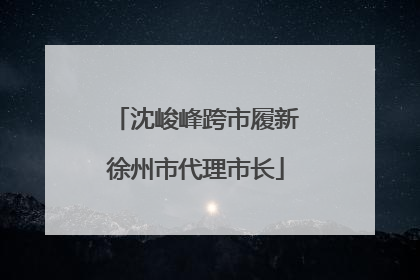沈峻峰跨市履新徐州市代理市长