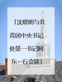 沈晓明与共青团中央书记处第一书记阿东一行会谈