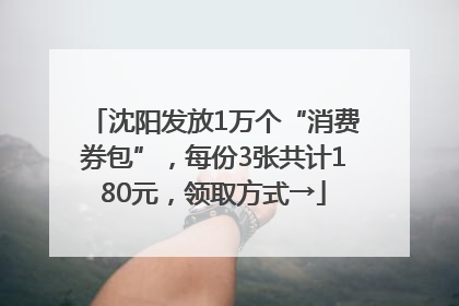 沈阳发放1万个“消费券包”，每份3张共计180元，领取方式→