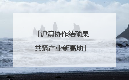 沪滇协作结硕果 共筑产业新高地