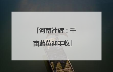 河南社旗：千亩蓝莓迎丰收