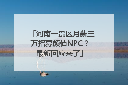 河南一景区月薪三万招募颜值NPC？最新回应来了