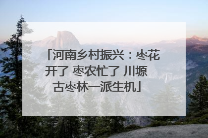 河南乡村振兴：枣花开了 枣农忙了 川塬古枣林一派生机
