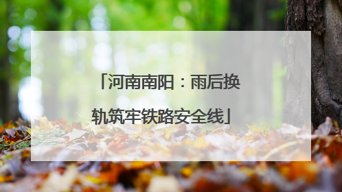 河南南阳：雨后换轨筑牢铁路安全线