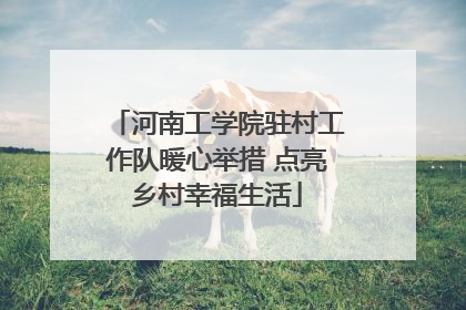 河南工学院驻村工作队暖心举措 点亮乡村幸福生活