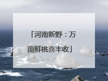 河南新野：万亩鲜桃喜丰收