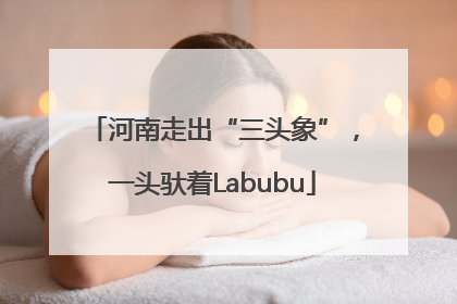 河南走出“三头象”，一头驮着Labubu
