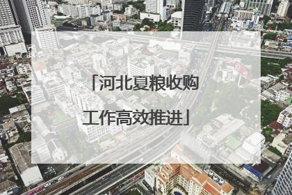 河北夏粮收购工作高效推进