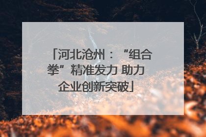 河北沧州：“组合拳”精准发力 助力企业创新突破
