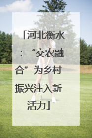 河北衡水：“交农融合”为乡村振兴注入新活力
