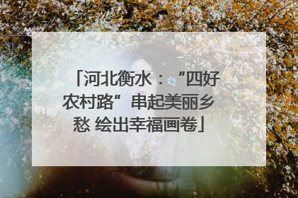 河北衡水：“四好农村路”串起美丽乡愁 绘出幸福画卷