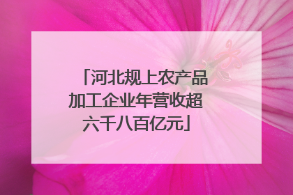 河北规上农产品加工企业年营收超六千八百亿元