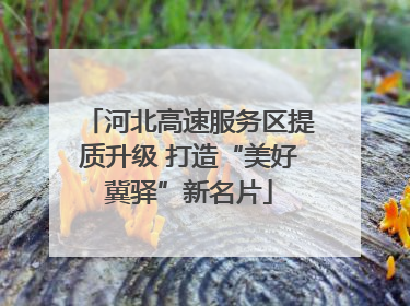 河北高速服务区提质升级 打造“美好冀驿”新名片