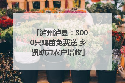 泸州泸县：8000只鸡苗免费送 乡贤助力农户增收