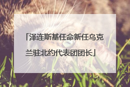 泽连斯基任命新任乌克兰驻北约代表团团长