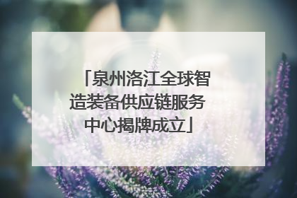 泉州洛江全球智造装备供应链服务中心揭牌成立