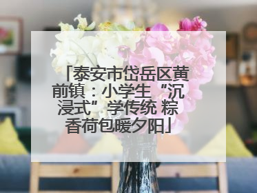 泰安市岱岳区黄前镇：小学生“沉浸式”学传统 粽香荷包暖夕阳
