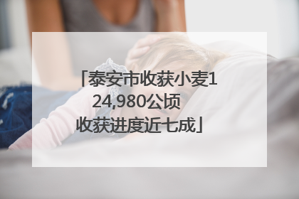 泰安市收获小麦124,980公顷 收获进度近七成